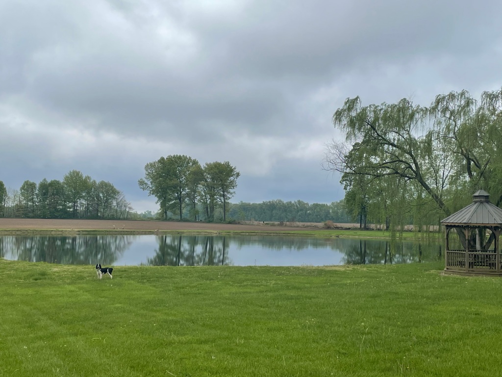 The Second Stone: A Dream (Part&nbsp;1)