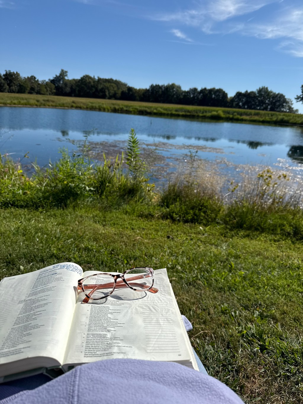 The Second Stone: A Dream (part&nbsp;2)